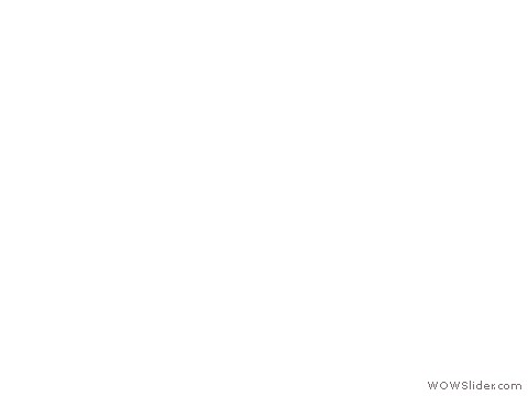 DSCN4107