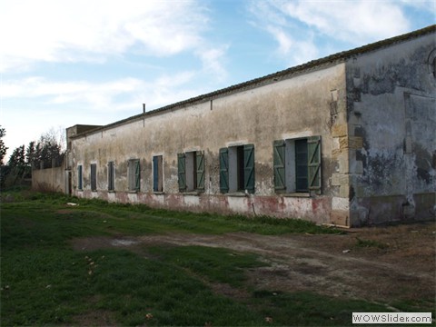 P1250746