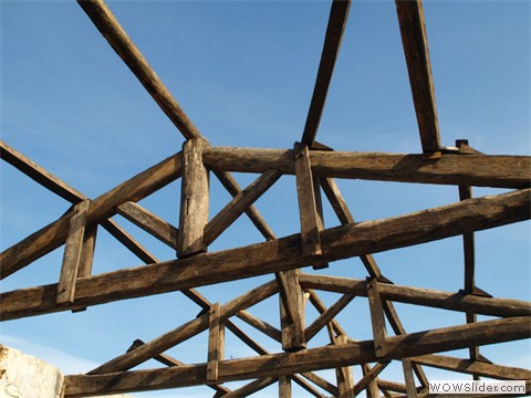 P5193609