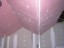 DSCN0132